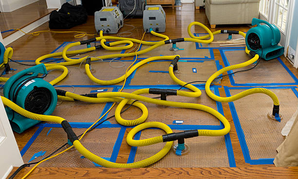 Professional Water Damage Repair technician working in Yorkshire, VA